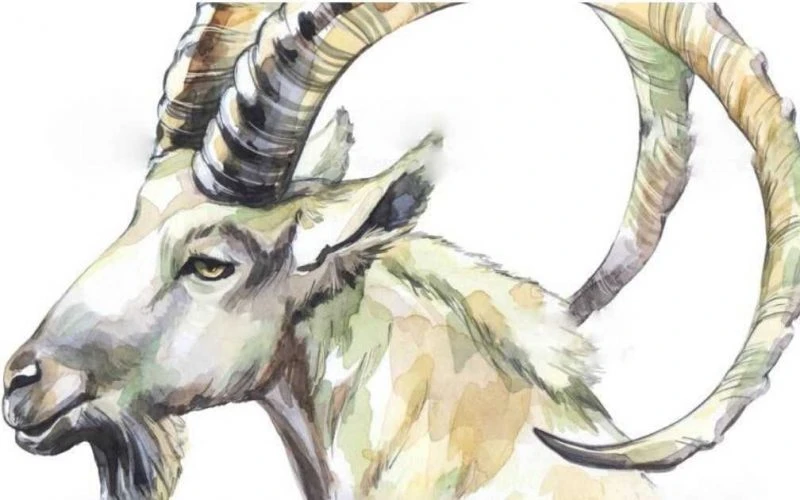 Bốn con giáp tin vui tới tấp, thu nhập tăng cao đầu tháng 9/2020