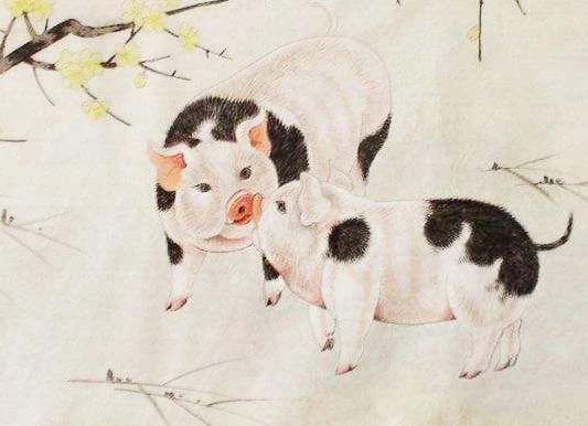 Tử vi ngày 29/9/2020 cho 12 con giáp: Tuất thu bộn tiền, Ngọ mắc sai lầm