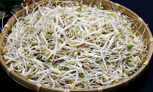 Nếu vẫn xào gan lợn với giá đỗ, rau cần, dừng ngay kẻo hối không kịp