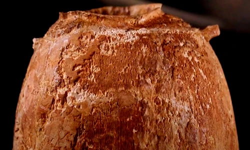 Khai quật bình ngà voi 6.000 năm tuổi, chấn động lai lịch thật