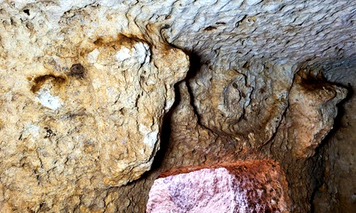 Vì sao lăng mộ La Mã cổ được canh gác bởi 2 đầu bò?