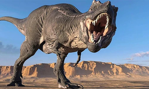 Top 10 địa điểm xem dấu chân khủng long trải dài khắp nước Mỹ