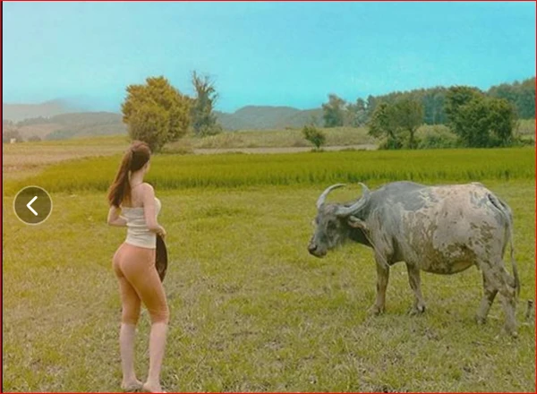 Cố tình mặc hở, hotgirl lội ruộng khoe body khiến người nhìn bối rối