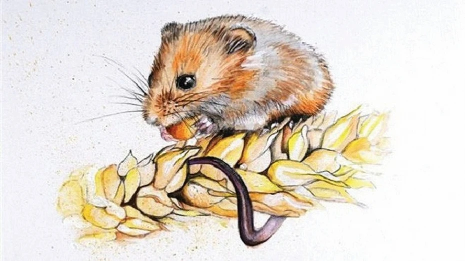 Bốn con giáp có đức mặc sức mà ăn, giàu sang nhất họ năm 2023