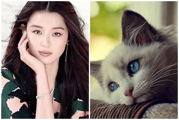 Thần Tài đến, ba con giáp tiền chất như núi trong 3 ngày tới