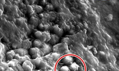 NASA công bố kính hiển vi chuyên dụng cho lĩnh vực không gian 