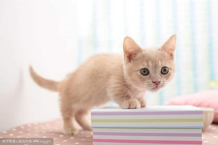 Trúng quả đậm, ba con giáp được "tắm trong bể tiền" cuối năm 2018