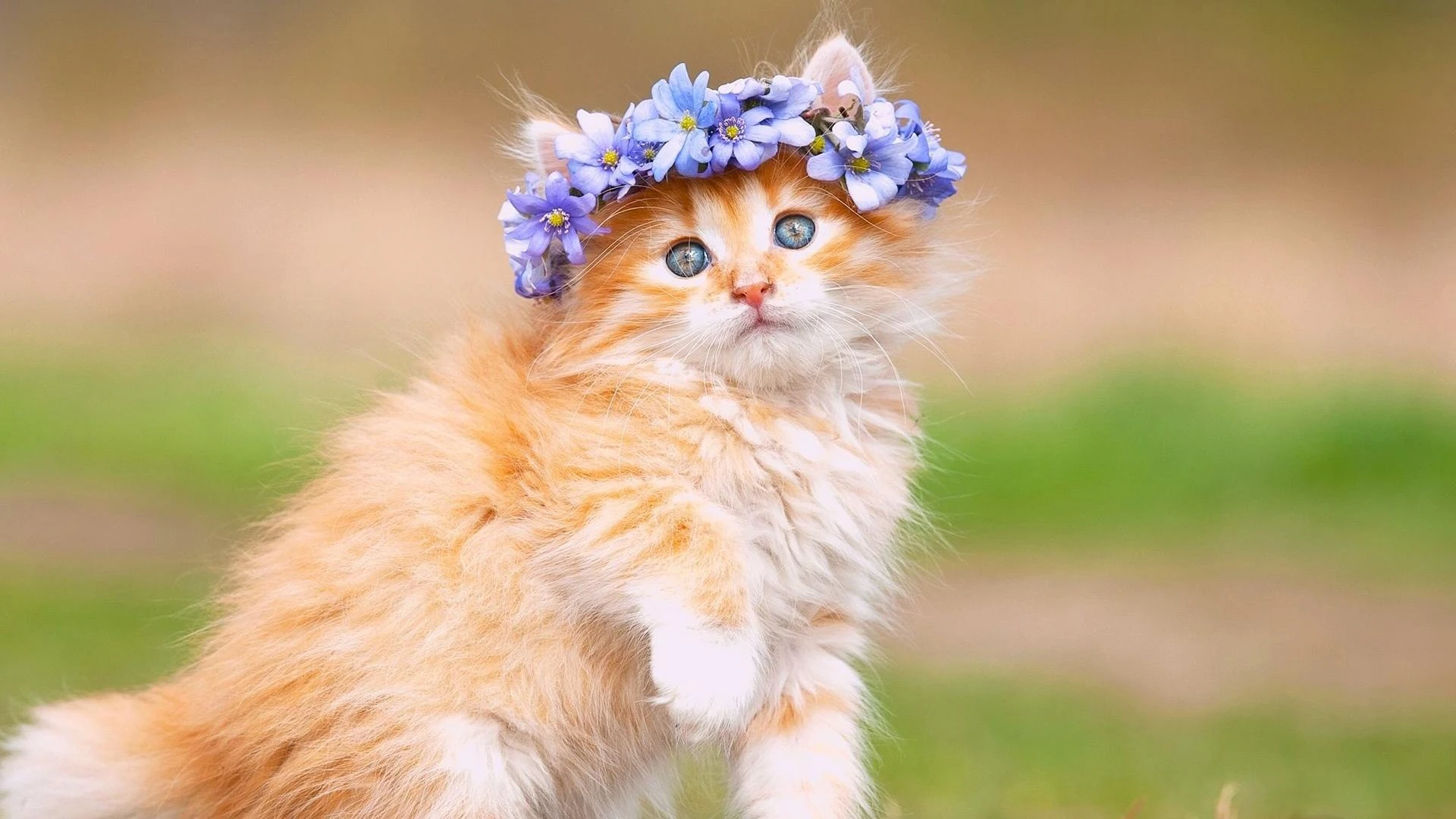 10 ngày tới, 4 con ngồi im Thần Tài mang tiền bạc tới tận cửa