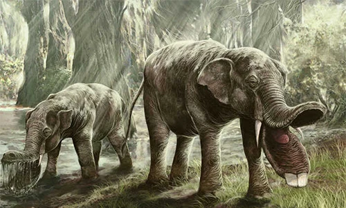 Hóa thạch sinh vật quái dị lộ ra, bí mật đại Tân sinh hé mở 