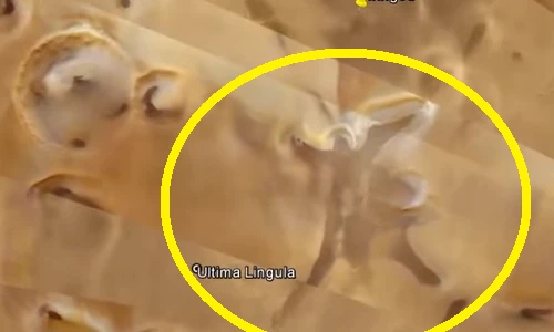 Sửng sốt với bóng thiên thần trên sao Hỏa