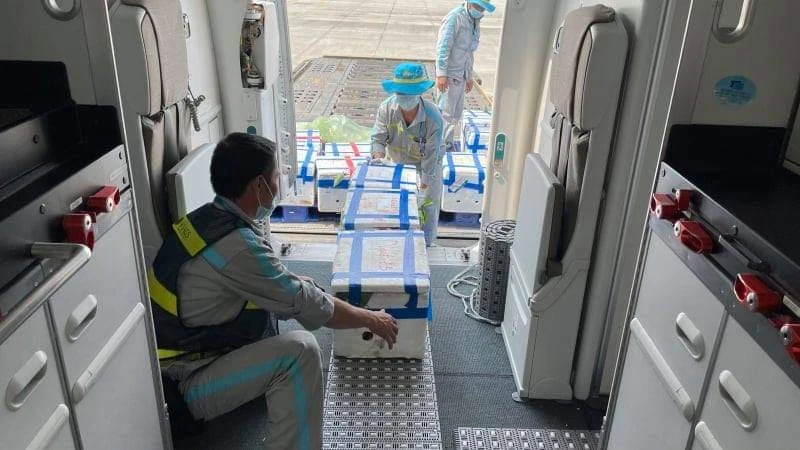 Cận cảnh 40 tấn vải thiều Bắc Giang “ngồi ghế” siêu máy bay vào TP HCM
