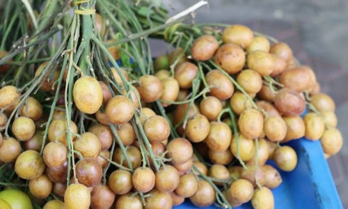 Những khám phá gây sửng sốt về quất hồng bì