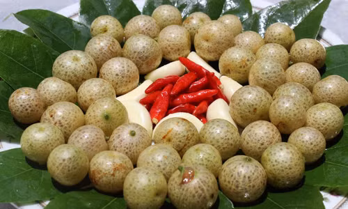 Bất ngờ với những khám phá về quả mắc mật