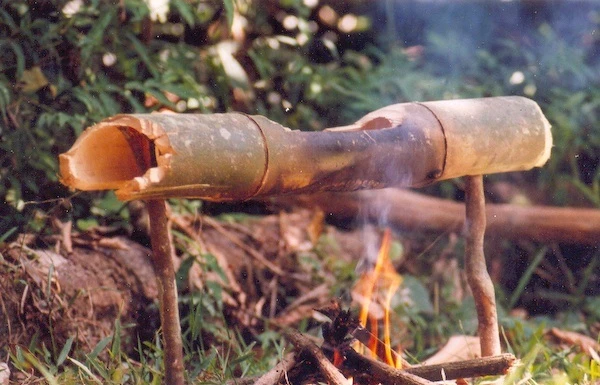 Những kỹ năng sống còn trong thảm họa (2)