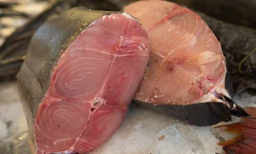 Những loại cá chứa hàm lượng thủy ngân cao nhất nên hạn chế ăn