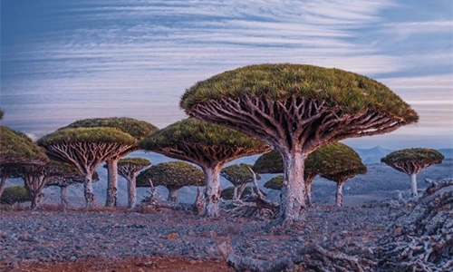 Kinh ngạc 10 địa điểm “ngoài hành tinh” có thật trên Trái đất 