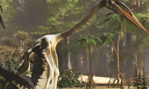 Kinh ngạc loài khủng long bay lớn nhất hành tinh, sải cánh cực ấn tượng