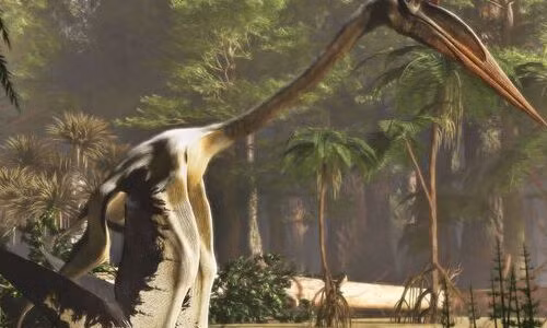 Kinh ngạc loài khủng long bay lớn nhất hành tinh, sải cánh cực ấn tượng