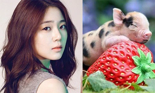 Rằm tháng Giêng: 3 con giáp càng chăm chỉ càng phất phát, giàu khủng