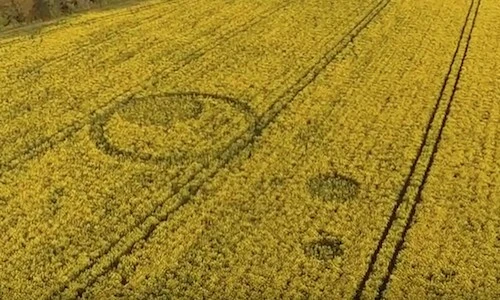 Vòng tròn lạ trên cánh đồng ở Anh dấy lên bí ẩn UFO