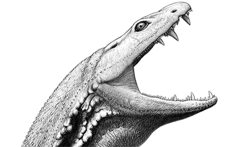 "Nòng nọc sát thủ” khủng bố Trái Đất trước khi khủng long xuất hiện