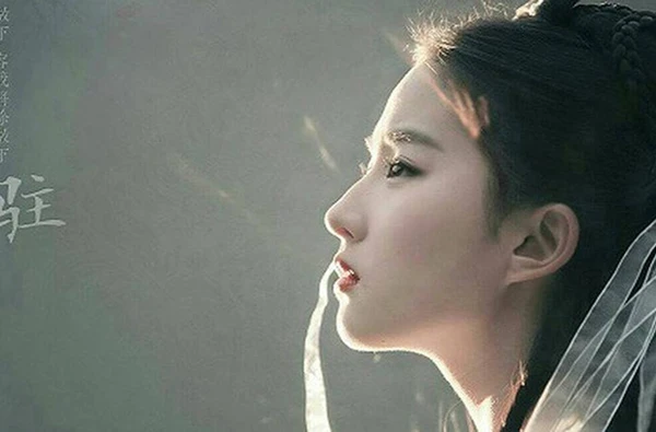 Vì sao Lưu Diệc Phi ít được chọn làm "tiêu bản thẩm mỹ"?