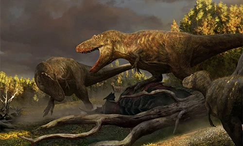 Hóa thạch 76,5 triệu năm tiết lộ tổ tiên "máu mặt" của T-rex 
