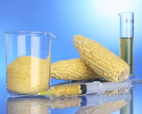 Những loài thực, động vật thần kỳ nhờ cấy ghép gen