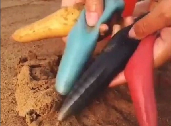 Xuất hiện loài cá kỳ dị giống giun gây hoang mang