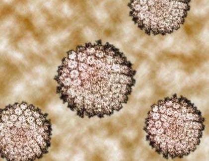 Điều chưa biết về HPV và bệnh ung thư miệng