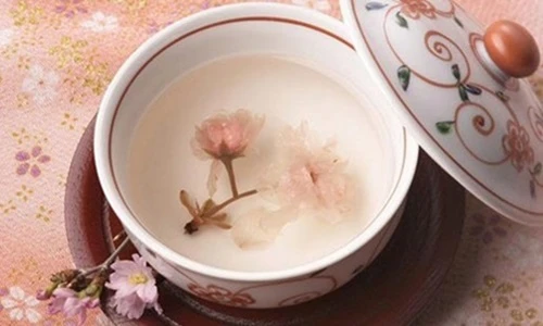 Top bài thuốc chữa bệnh tốt không ngờ từ hoa đào