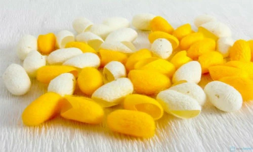Bí kíp trị mụn đầu đen, mụn cám “thần kỳ” bằng kén tằm