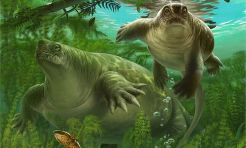 Phát hiện sinh vật tiền sử kỳ lạ: Lai giữa thằn lằn và hà mã?
