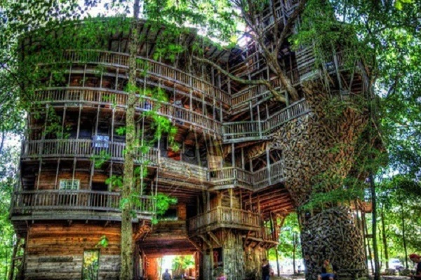 Video: Bên trong ngôi nhà trên cây đồ sộ nhất thế giới trước khi bị thiêu rụi