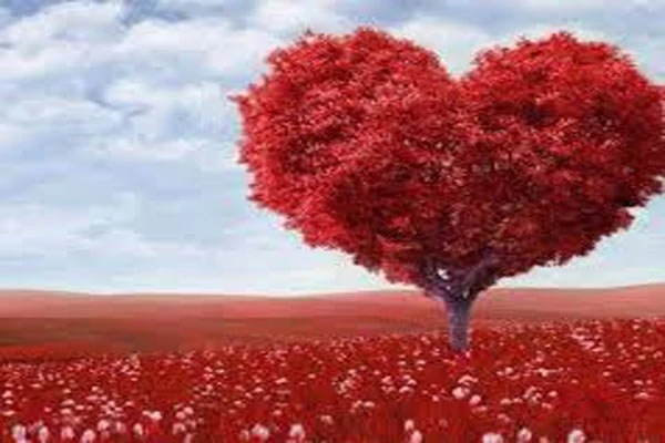 6 dấu hiệu cho biết bạn yểu mệnh hay sống lâu