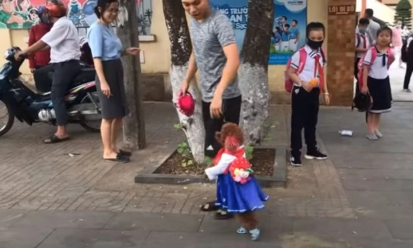 "Danh tính" cô chó đi học bằng hai chân đang gây sốt MXH