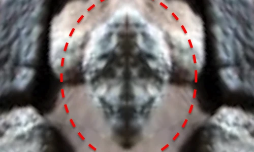 Phát hiện hình đầu bò sát khổng lồ trên sao Hỏa