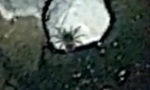 Nhện khổng lồ lọt vào tầm ngắm Google Earth
