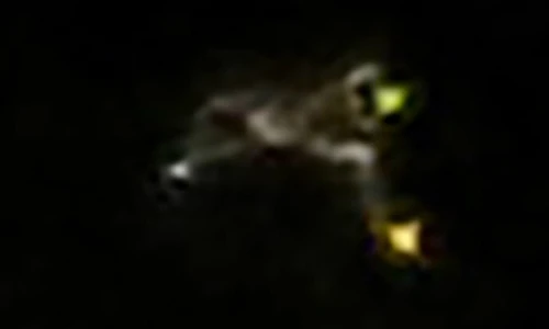 Sửng sốt vật thể nghi UFO hình chó khổng lồ trong vũ trụ