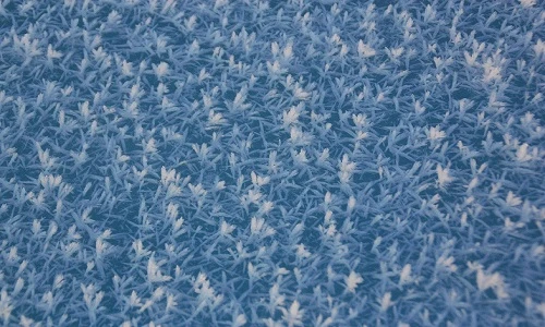 Bí ẩn hàng triệu bông hoa sương nở rộ trên mặt nước