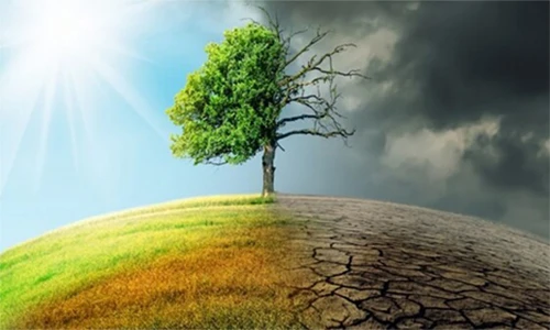 Ngoài biến đổi khí hậu, Trái Đất đối mặt với loạt hiểm họa nào? 