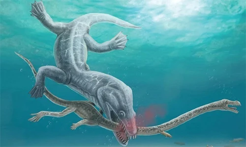 Phát hiện hoá thạch thuỷ quái biển sâu, giật mình vì sự thật đau đớn