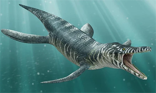 Điểm danh 10 loài “thủy quái” đáng sợ nhất thời tiền sử