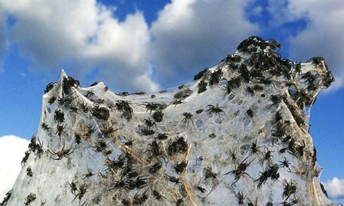 Những địa danh bị thống trị bởi thứ quái đản