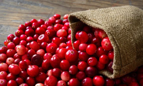 Thoát ám ảnh nhiễm trùng đường tiết niệu cực đơn giản