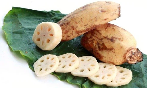 Ngó sen thực chất là cái gì vậy?