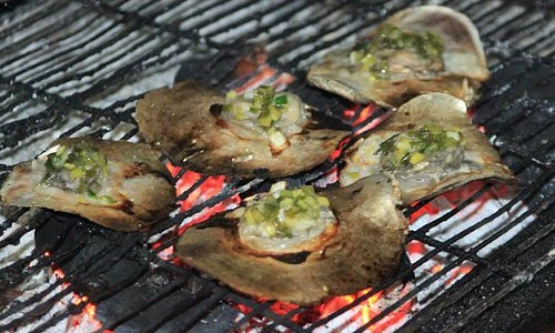 Điều thú vị về con chồng đực có nhiều ở Bình Thuận