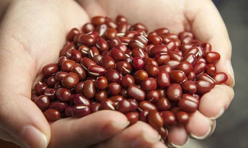 Lợi ích toàn năng bất ngờ của đậu đỏ với sức khỏe