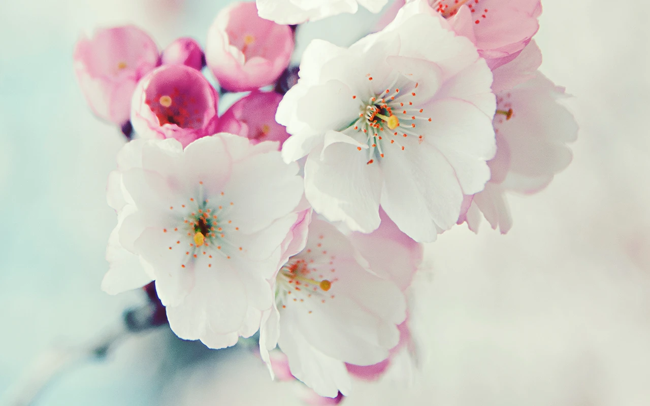 Dự đoán tuần mới từ 07/05 - 13/05/2018 cho 12 con giáp