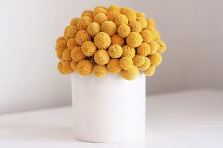 Bái phục top con giáp càng béo ú càng giàu có ngút trời